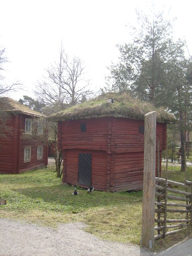 casutele ocupate de gaste - Gastele calugarite de la Skansen