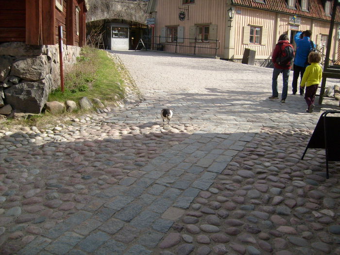 o pereche chiar in centru