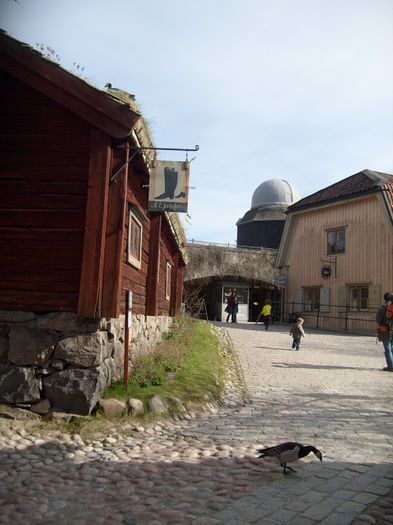 masculul jos cautand d-ale gurii