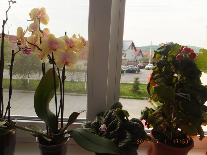 S0178019 (01-05-2015); (01-05-2015)
