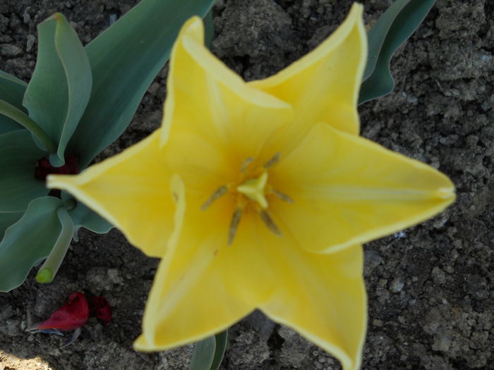 DSCN6009
