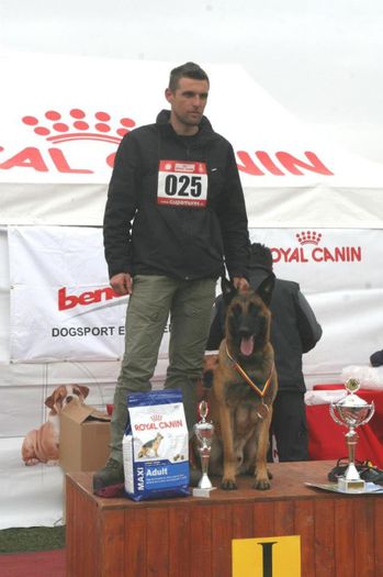 asolo-caini-dogmaster-04 - a1 Catei disponibii malinois 2015