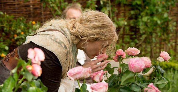 Haos-la-Versailles-captura-800x417 - Kate Elizabeth Winslet