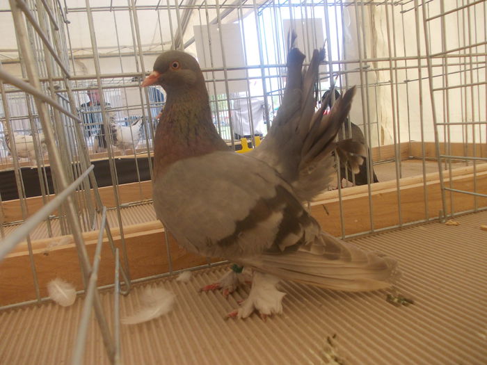 DSCN0320