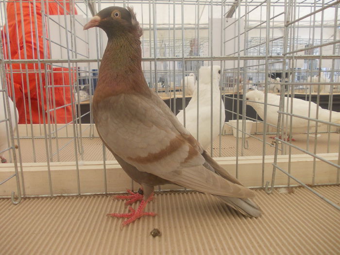 DSCN0324