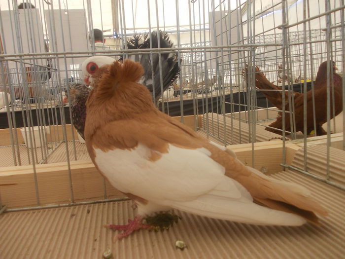DSCN0362