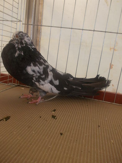 DSCN0363
