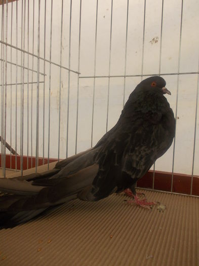 DSCN0364