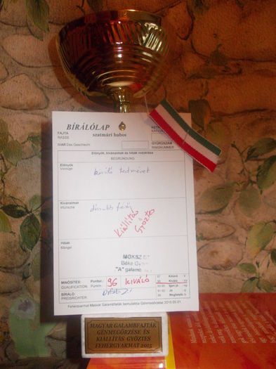 DSCN0400
