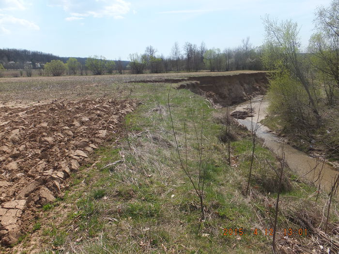 DSCF5871 (12-04-2015); (12-04-2015)
