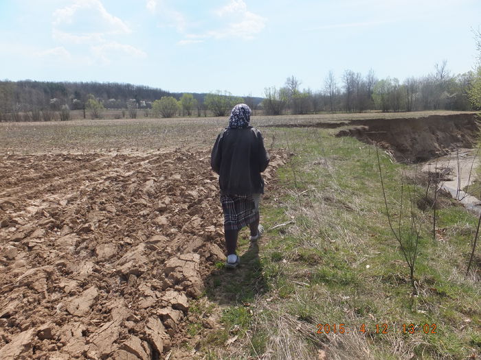 DSCF5874  (12-04-2015); (12-04-2015)
