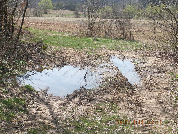 DSCF5876  (12-04-2015); (12-04-2015)
Acesta e motivul pentru care apele ce se scurg din seal/padure ajung pe terenurile arabile in fiecare primavara de 4 ani incoace. Anul asta daca am timp voi sapa un canal astfel incat sa
