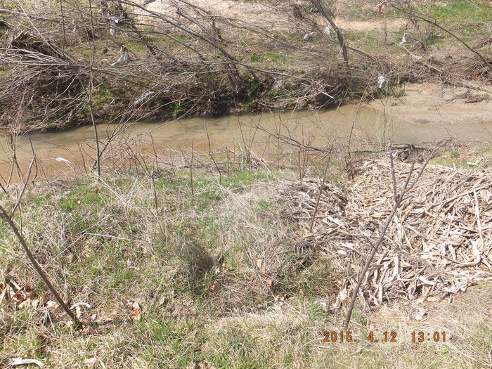 DSCF5868  (12-04-2015); (12-04-2015)
