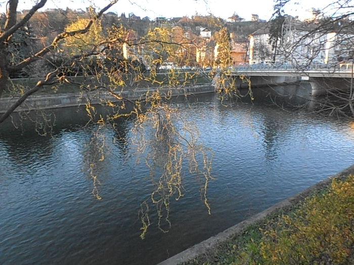 P4090279 - CALEIDOSCOP