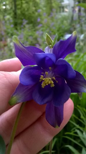 WP_20150427_18_47_50_Pro