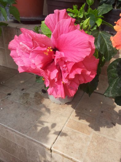 20140806_111928