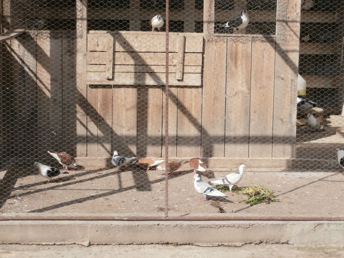 P5030011