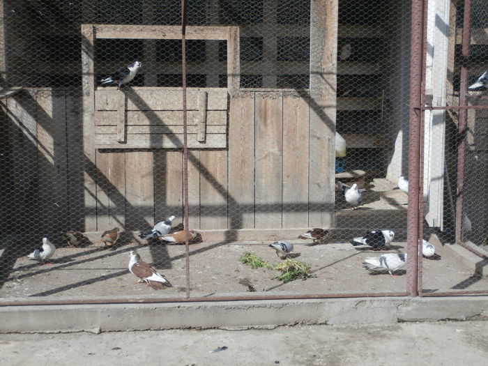P5030012