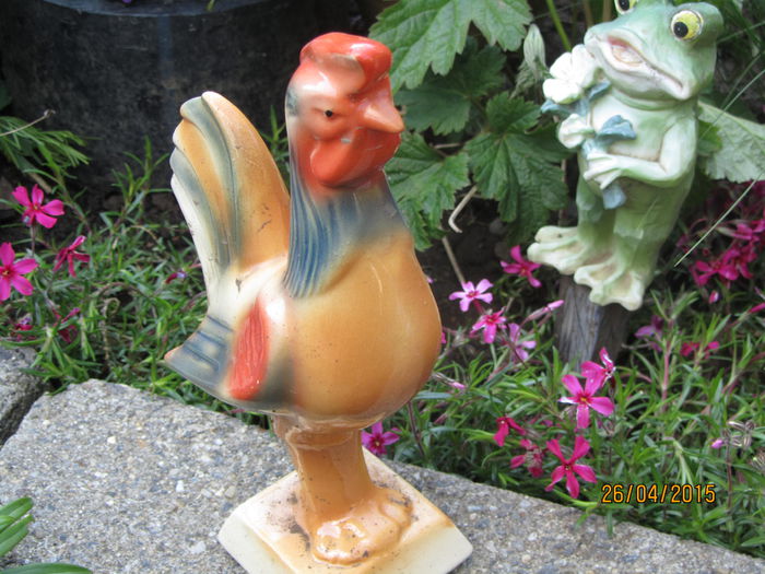 IMG_0231 - Flori de gradina-2015Primavara