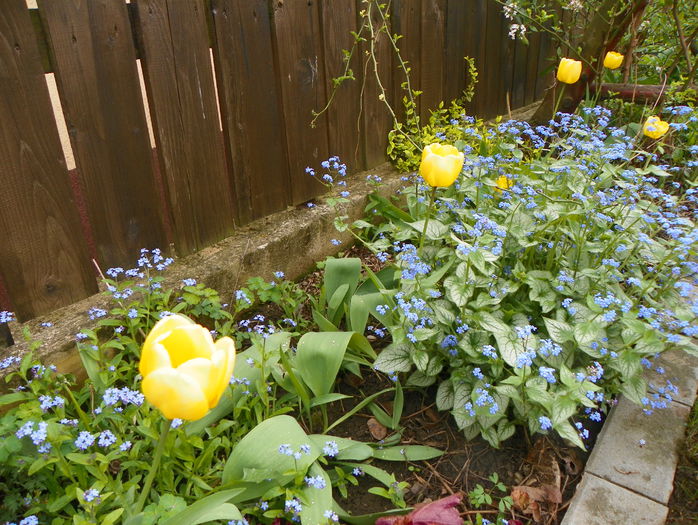 3 mai 006 - Primavara 2015