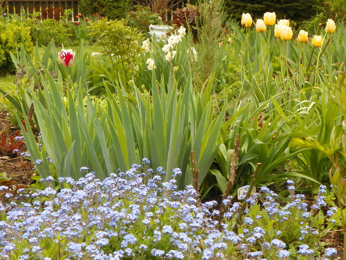 3 mai 014 - Primavara 2015