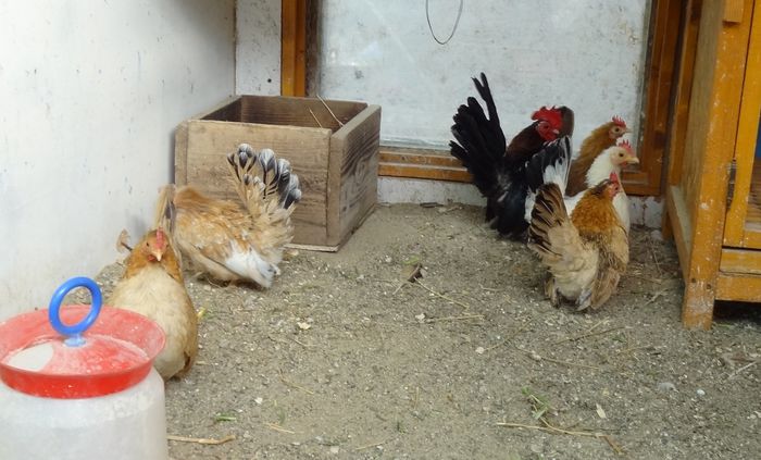 Screenshot - 5_4_2015 , 09_44_53