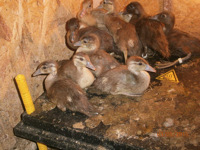 jos este cald dar e mai bine  sus la racoare :):)