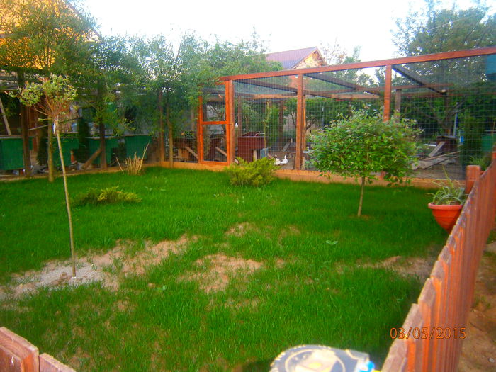 incepe iar sa apara verdeata!!!!