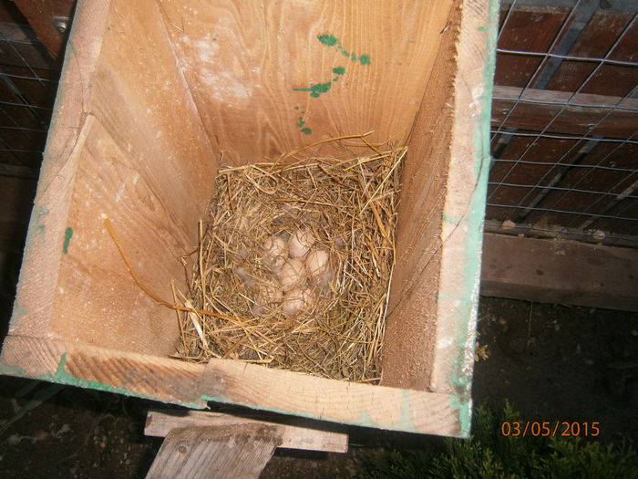 mai fac trei si gata!!!!!