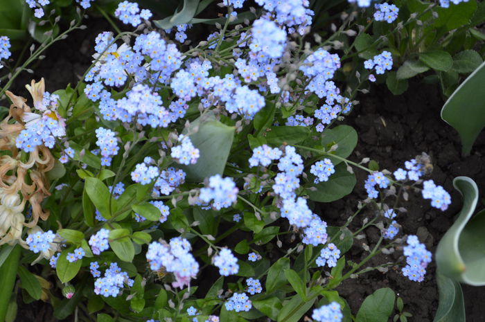 DSC_0807