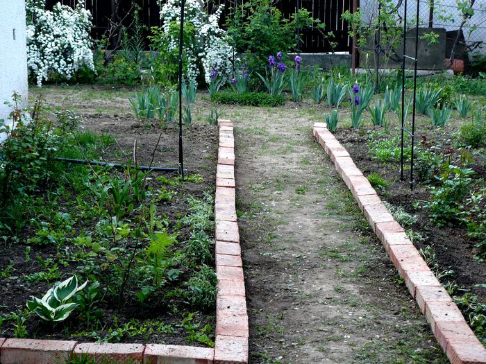 Hidden garden_inceputuri(4mai)