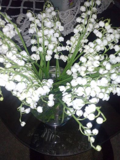 11010569_734612293318213_773460474656692726_n