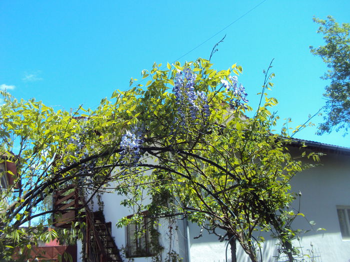 DSC06153