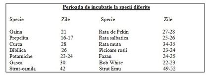 tabel - BINE DE STIUT