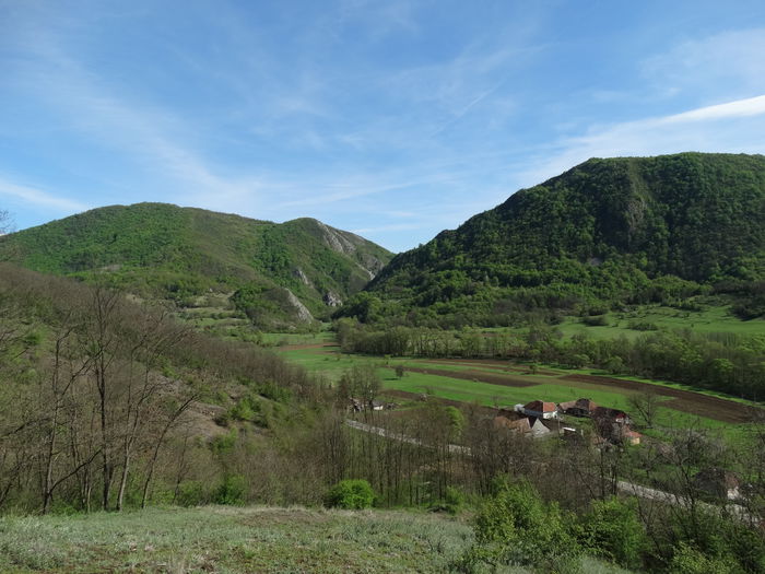 DSC00419 - Diverse fotografii
