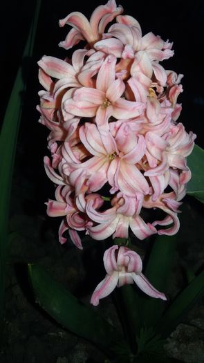 20150427_201755