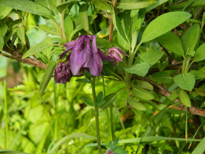 DSCN5844