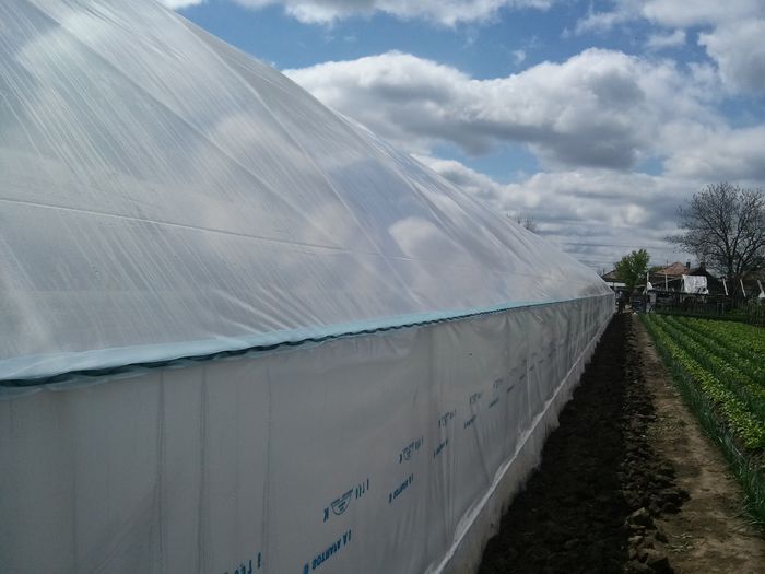 20150422_115836; Clipsuri japoneze...foarte bune
