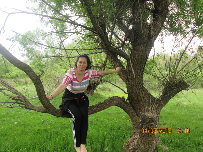 IMG_2126 - EU EU
