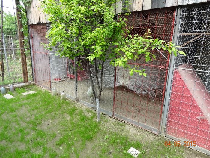 DSC07846