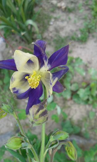 20150501_135319