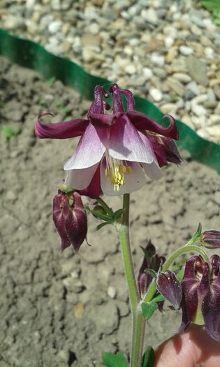 20150501_135714