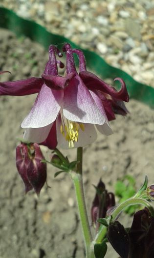 20150501_135710