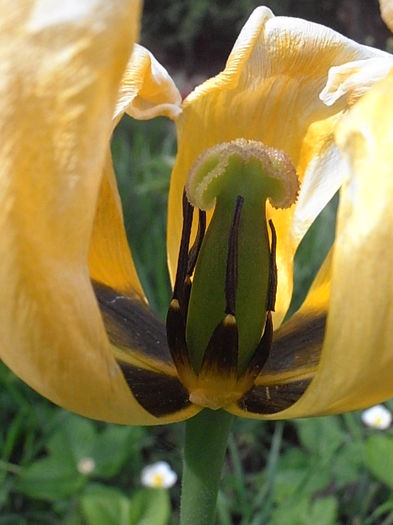 P5050142