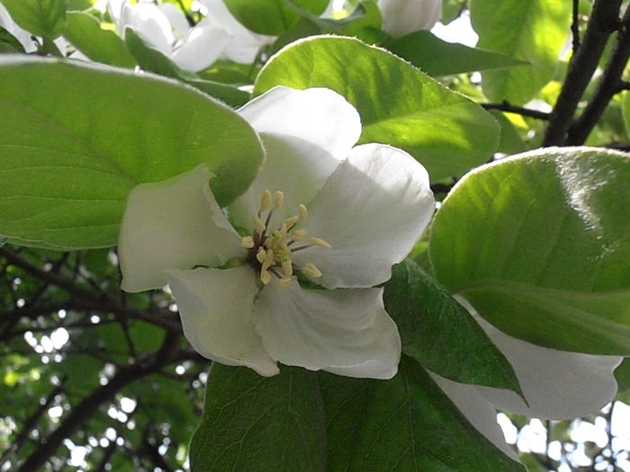 P5050159