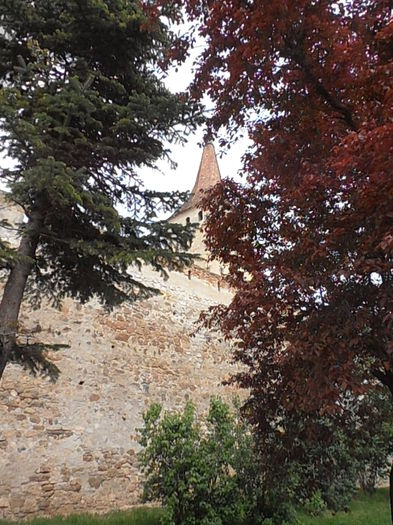 P5040040; Aiud, ziduri vechi..
