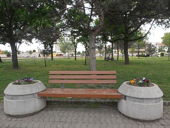 P5040354 - CALEIDOSCOP