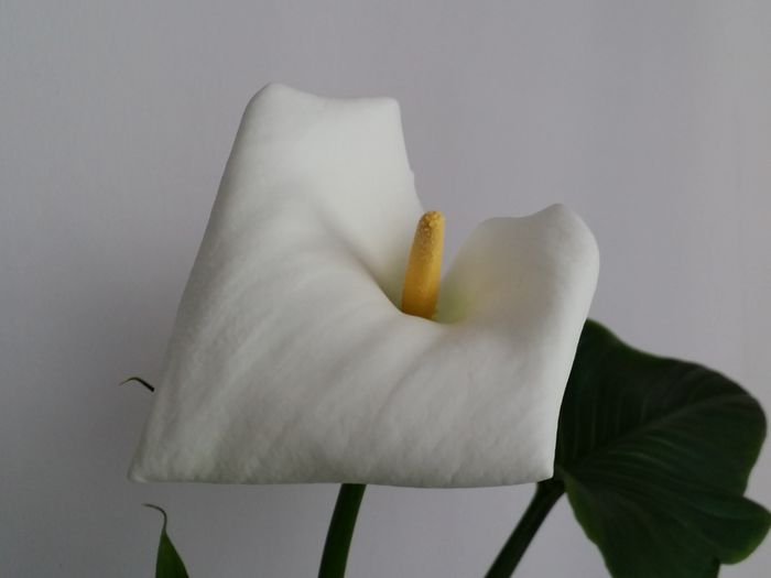 20150504_152507