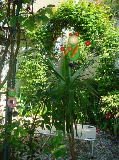 DSC06562 - Gradina 2015