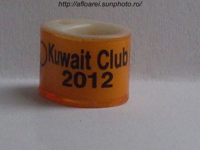 kuwait club 2012